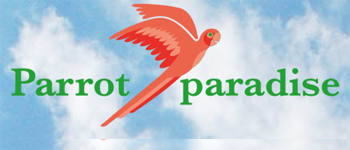 parrot paradise