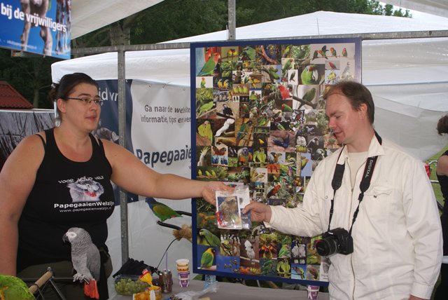 2012-06-10 Braderie Schollebos